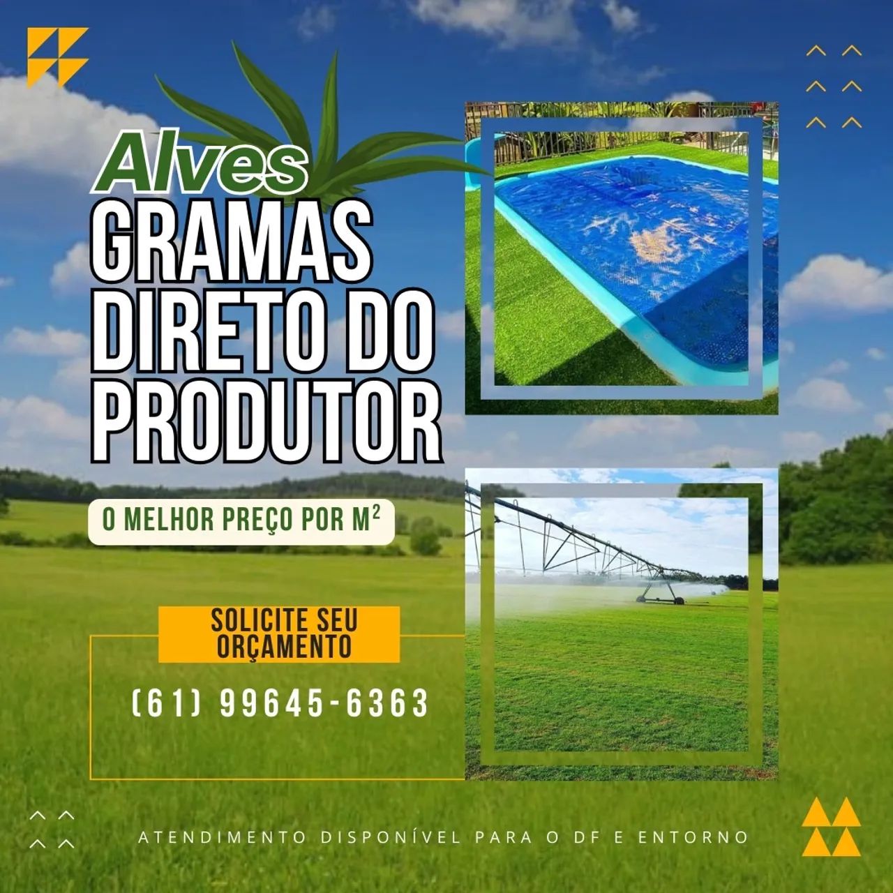 Grama esmeralda imperialR$12