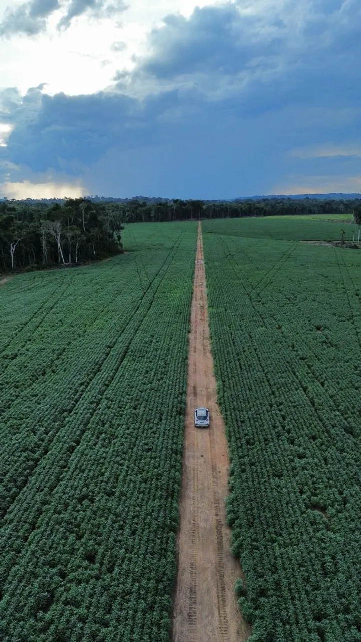 Fazenda arrendamento 500hc em Apiacás MT. Grade na descrição