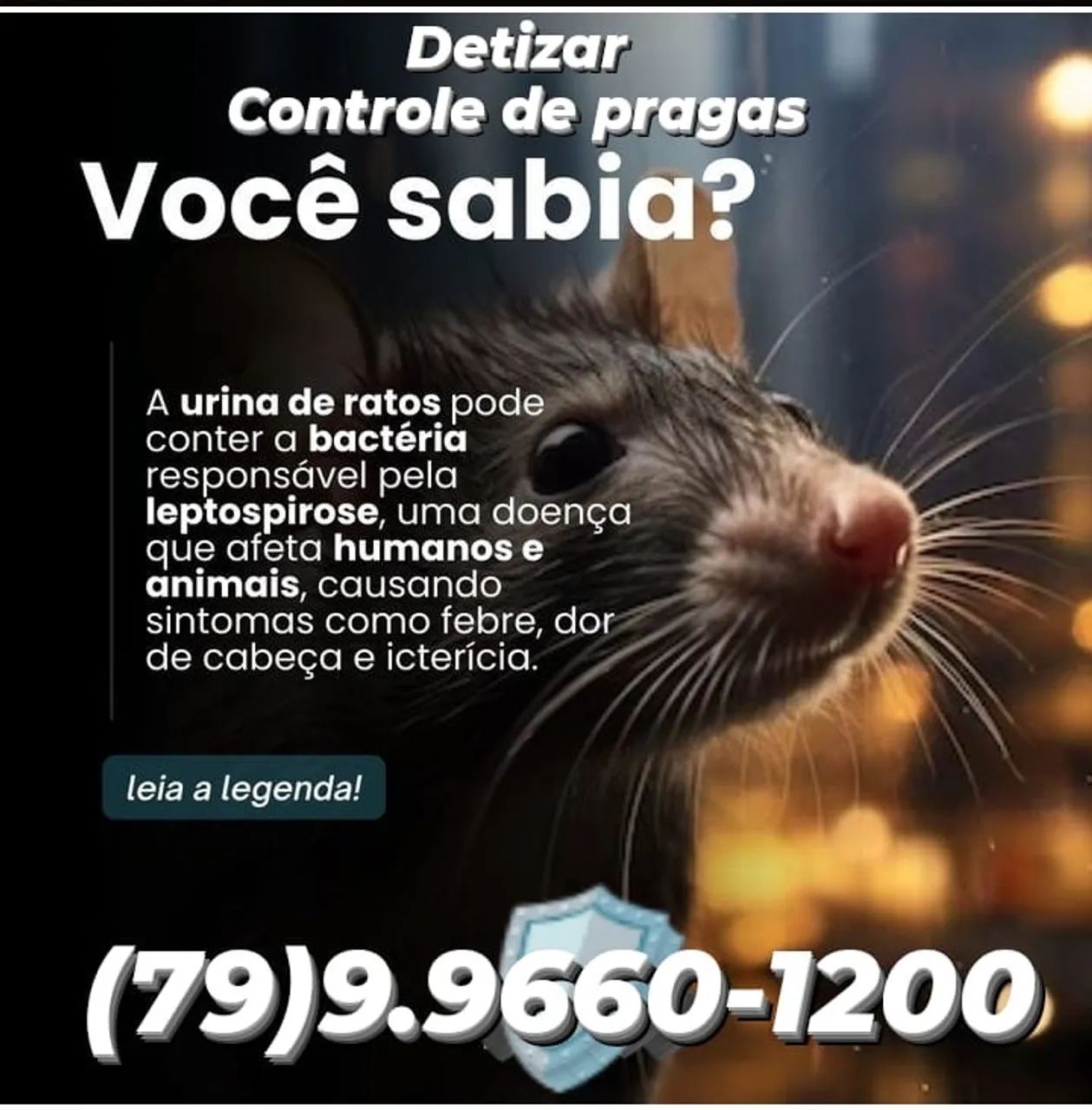 Dedetizadora - Livre-se das baratas hoje mesmo! - Foto 2