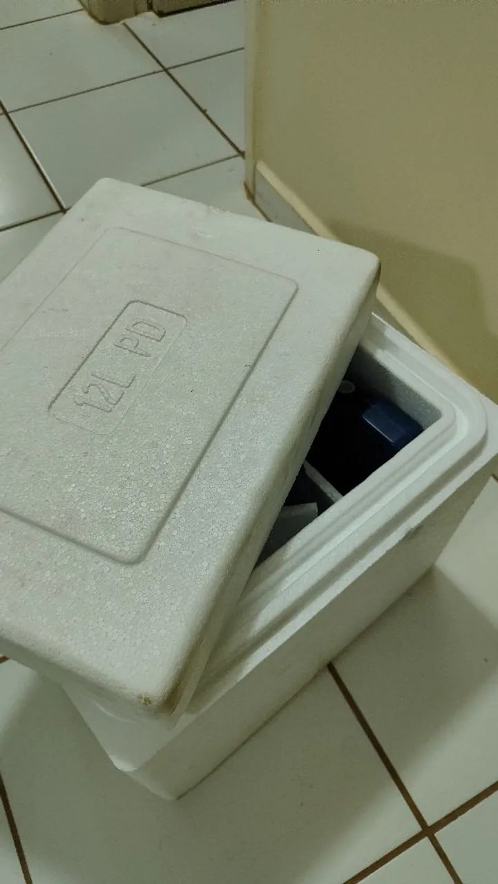 Caixa térmica de parede dupla 12L