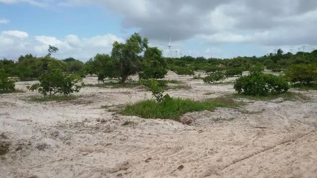 Granja com Casa Sede, Poço, 7.5 Hectares, plantação de graviola - Foto 5