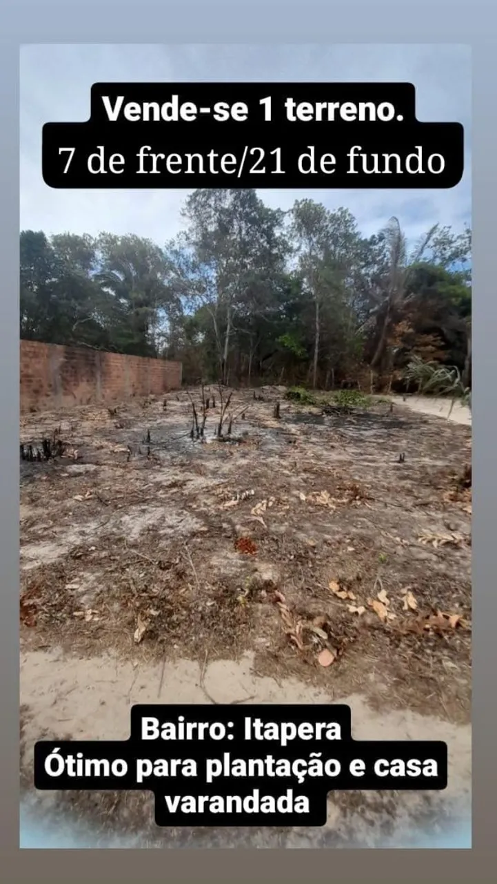 TERRENO 7X21 - NO BAIRRO DO ITAPERA BR135. (((BARATO AVISTA)))