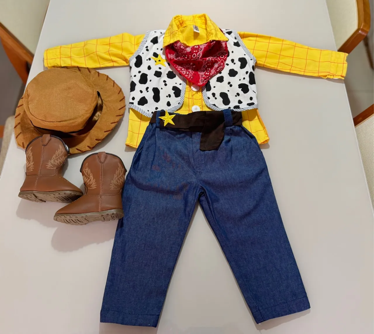 Fantasia roupa infantil Xerife Woody