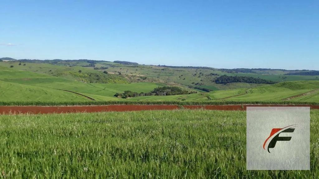 Fazenda à venda, 2988700 m² por R$ 37.000.000,00 - Rural - Faxinal/PR - Foto 2