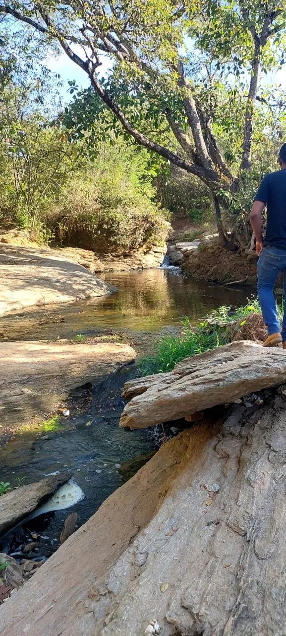 Foto - Goiânia - Jardim da Luz