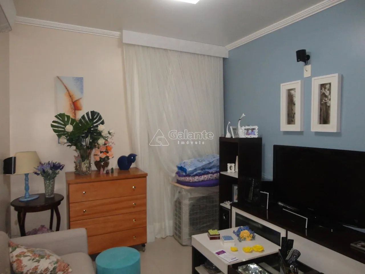 apartamento - Jardim Proença - Campinas - Foto 5