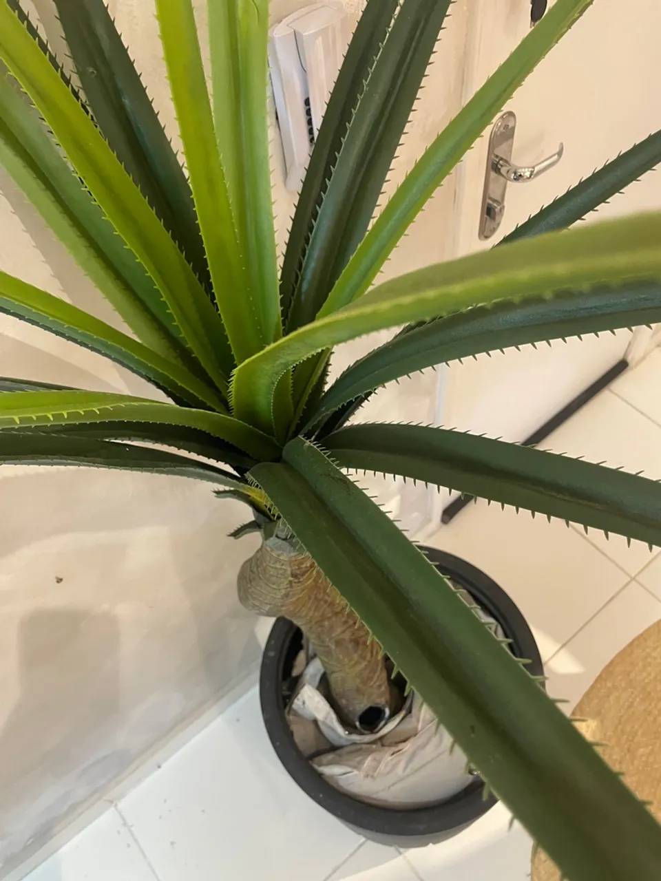 Planta Artificial Yucca com vaso