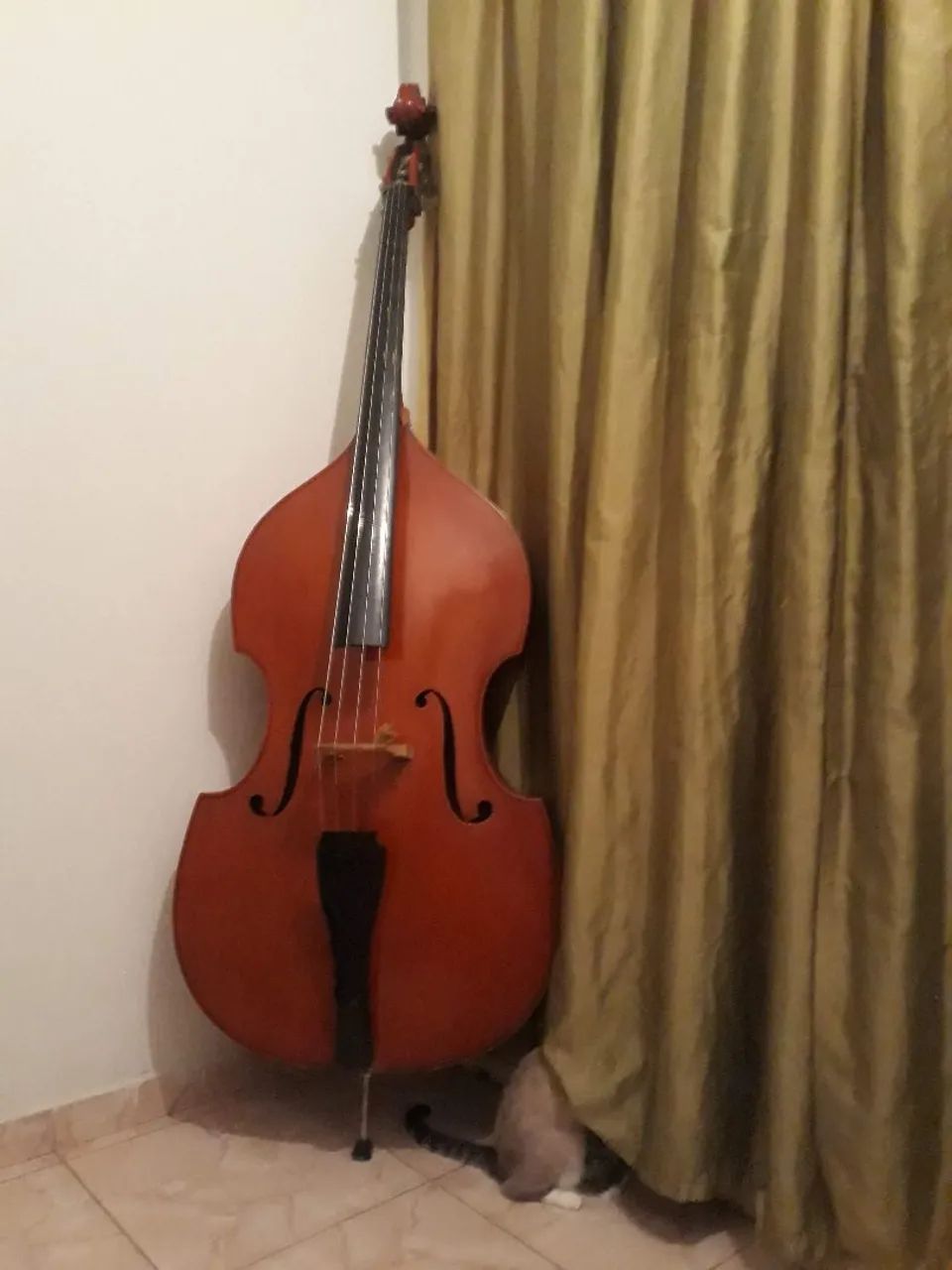 Baixo acustico 4/4 restaurado, com cordas thomastik. - Foto 3