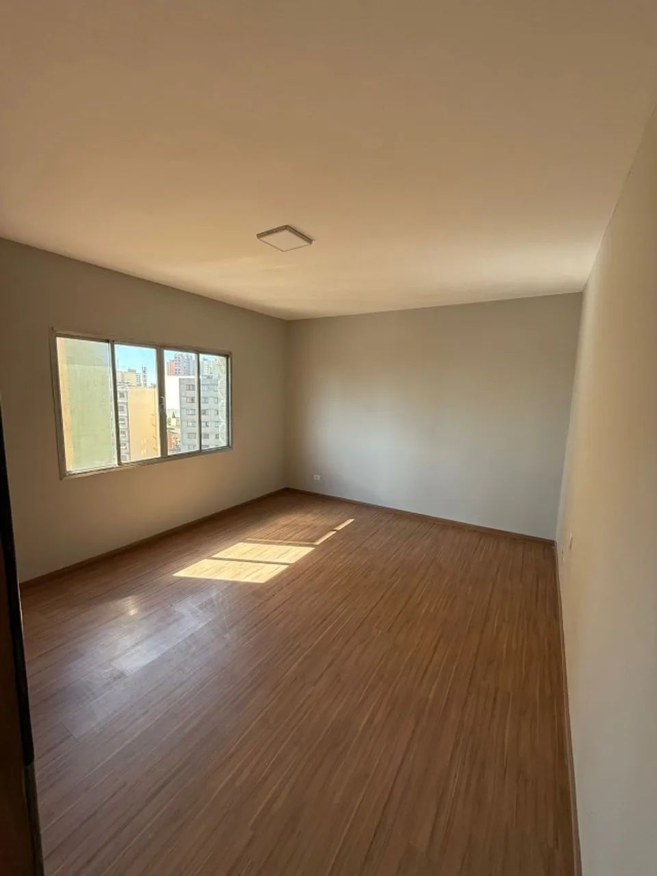 Foto - Londrina - Judith