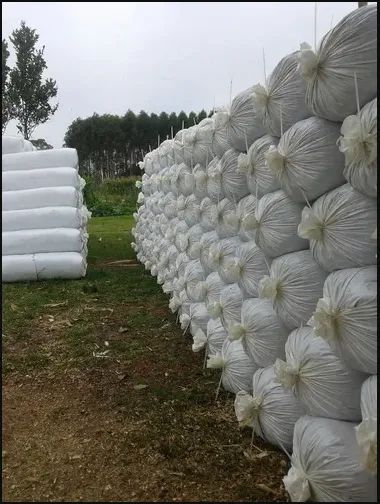 Silagem Milho Ensacado e a Granel