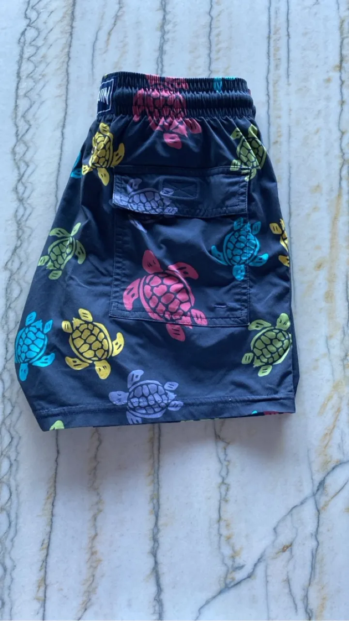 Vilebrekin turtle