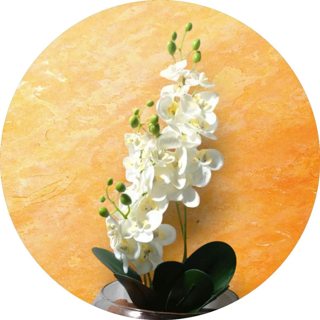 Desfrute de Uma Casa Bonita Com Essas Orquídeas Brancas Permanentes em Um Lindo Decorativo - Foto 3