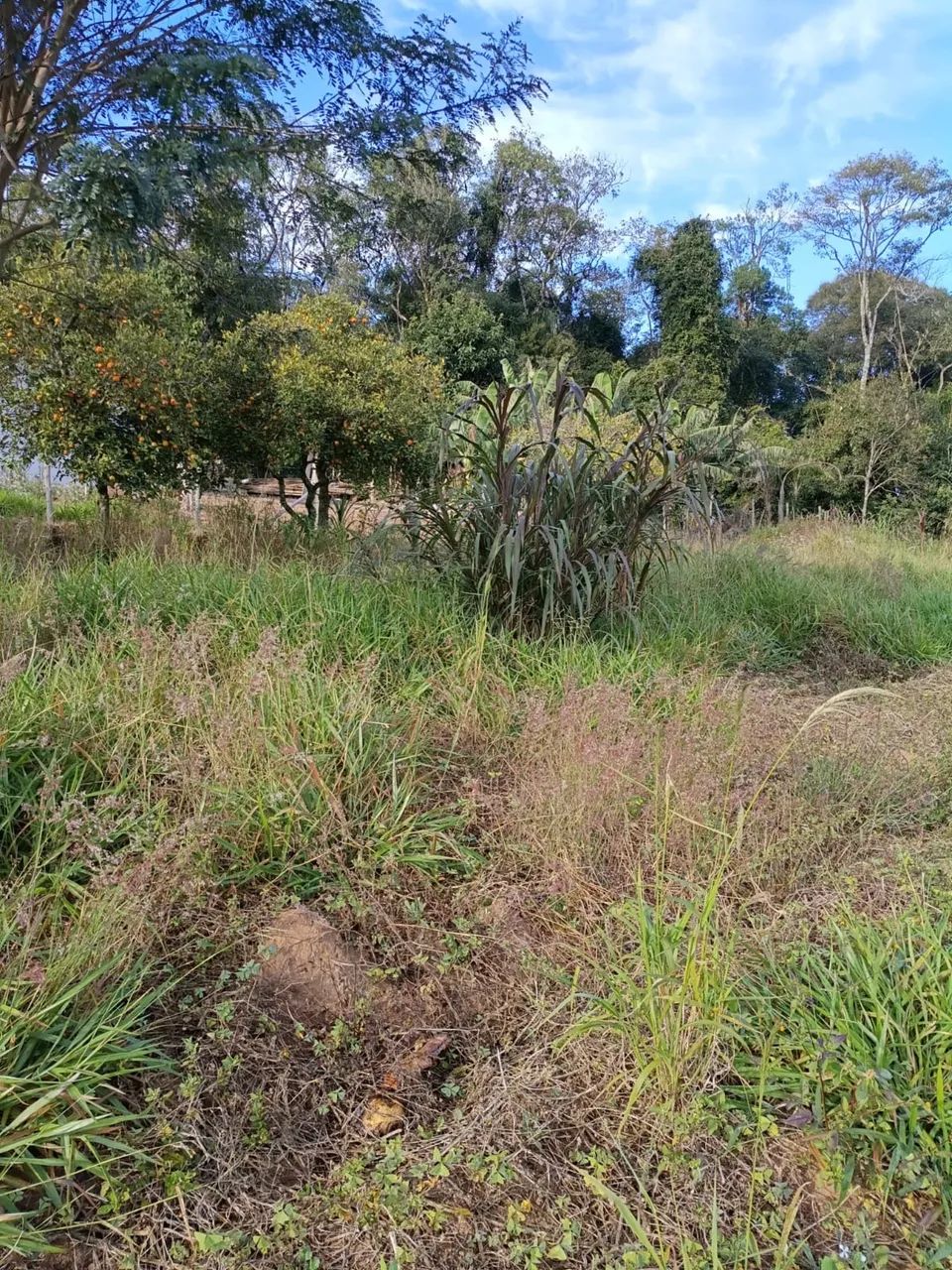 Vendo terreno em Piedade sp - Foto 2