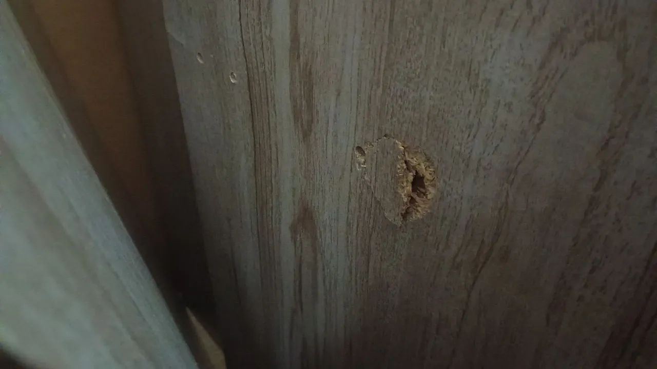 Guarda roupa de solteiro com cama  - Foto 3