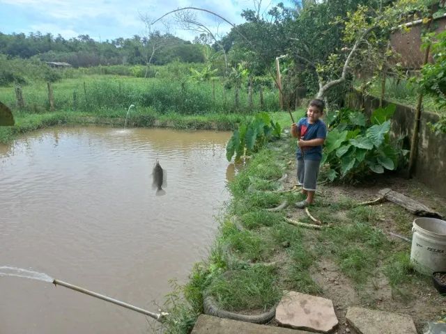 CHACARA EM LUZIÂNIA-GO,  ACEITO OFERTA/VEICULO - Foto 2