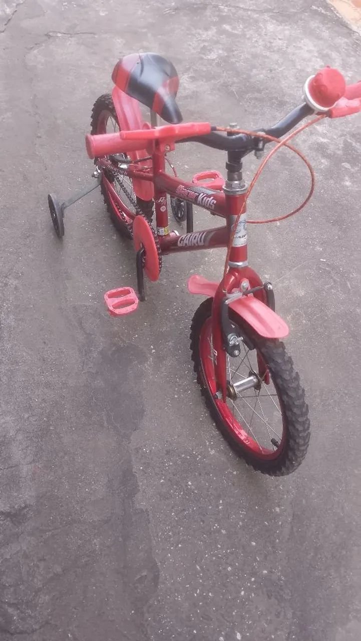 Bicicleta 
