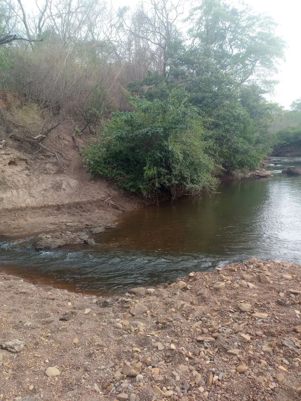 Vendo esta chácara com com acesso a dois rios passando dentro da terra