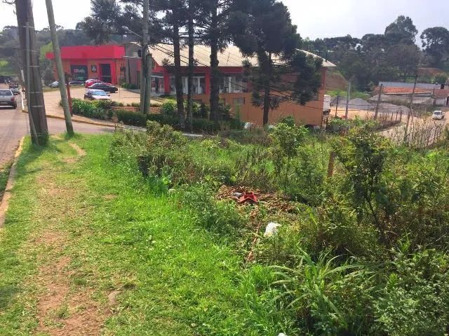 Terreno Comercial - Bairro Centro - Foto 2