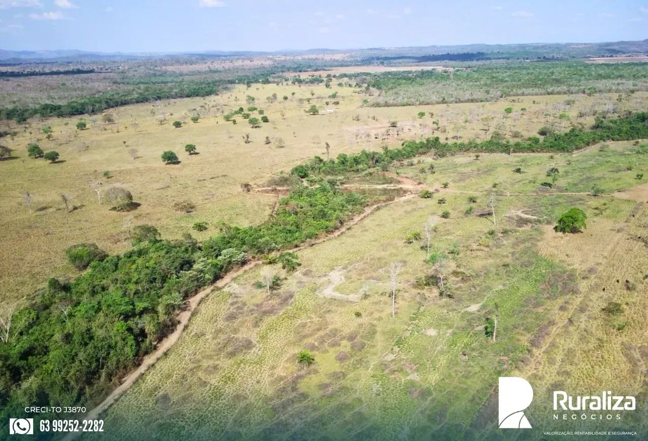 INVESTIMENTO RURAL | ALTA PRODUTIVIDADE E ESTRUTURA COMPLETA - Foto 5