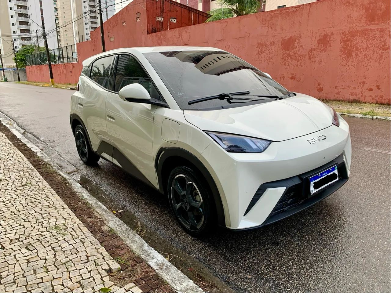BYD Dolphin Mini (Elétrico) 2025 - Foto 4