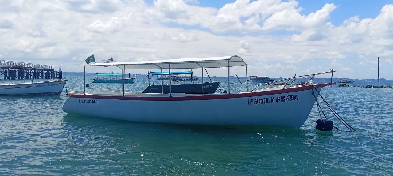 Barco fibra  - Foto 9