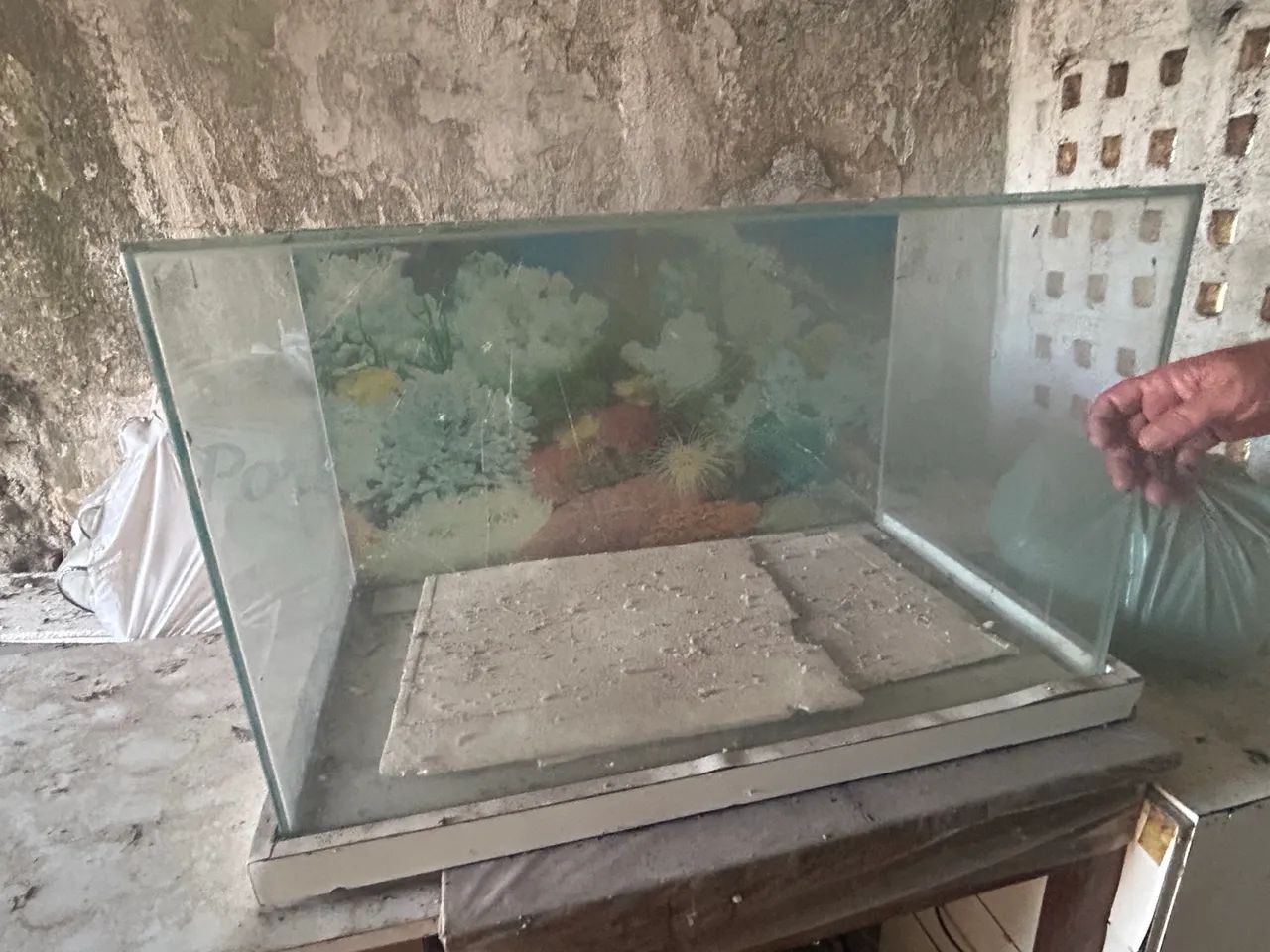 Aquário 45x75x41
