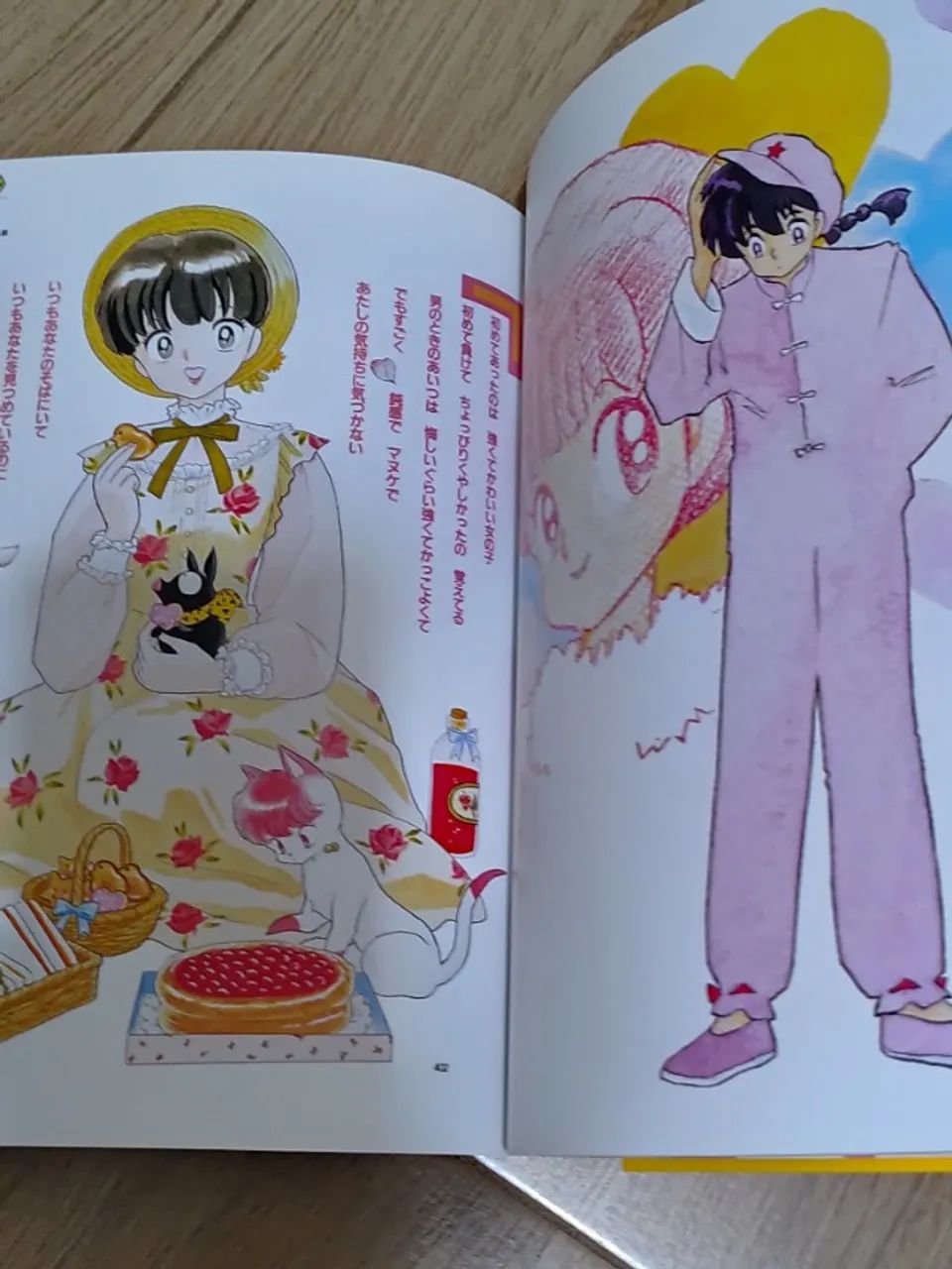 Ranma 1/2 - Artbook - Livros e revistas - Vila Boa Vista, São