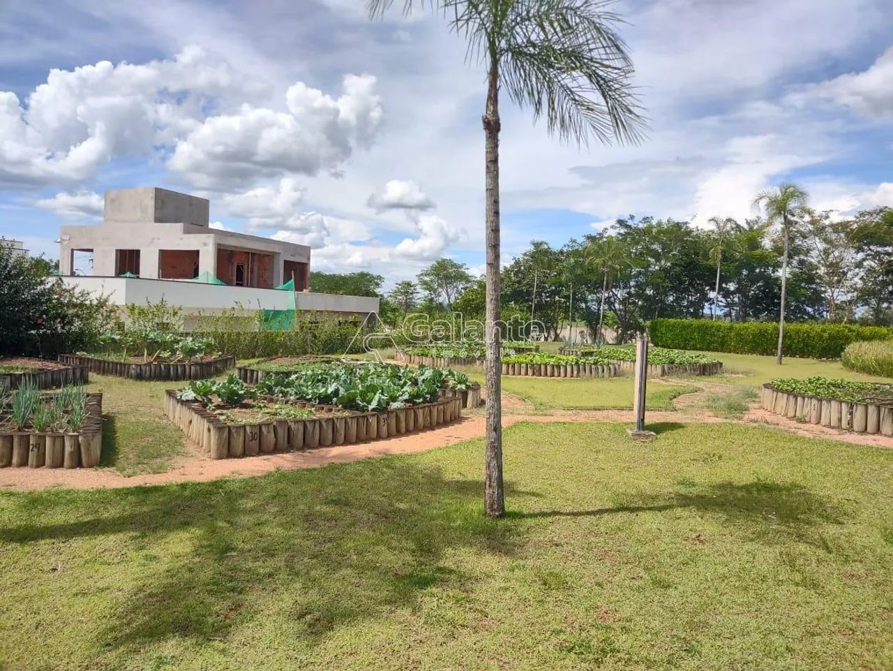 terreno - Chácara São José - Jaguariúna