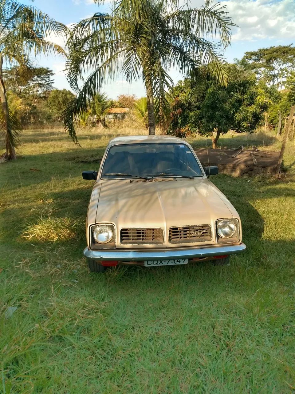 Chevrolet Chevette L / SL / Sl/e / DL / SE 1.6 1978