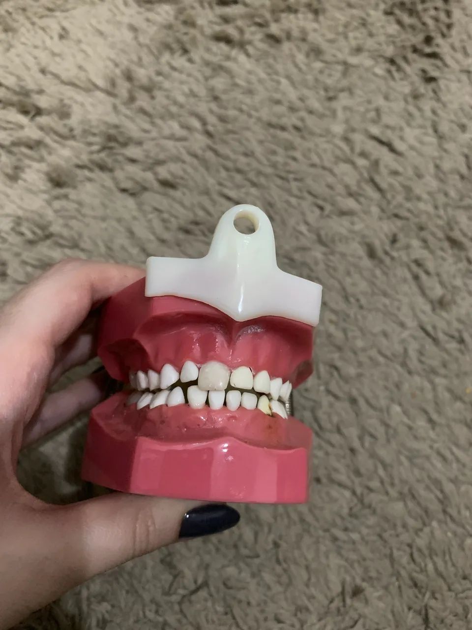 Manequim odontológico pediátrico Dent art - Foto 2