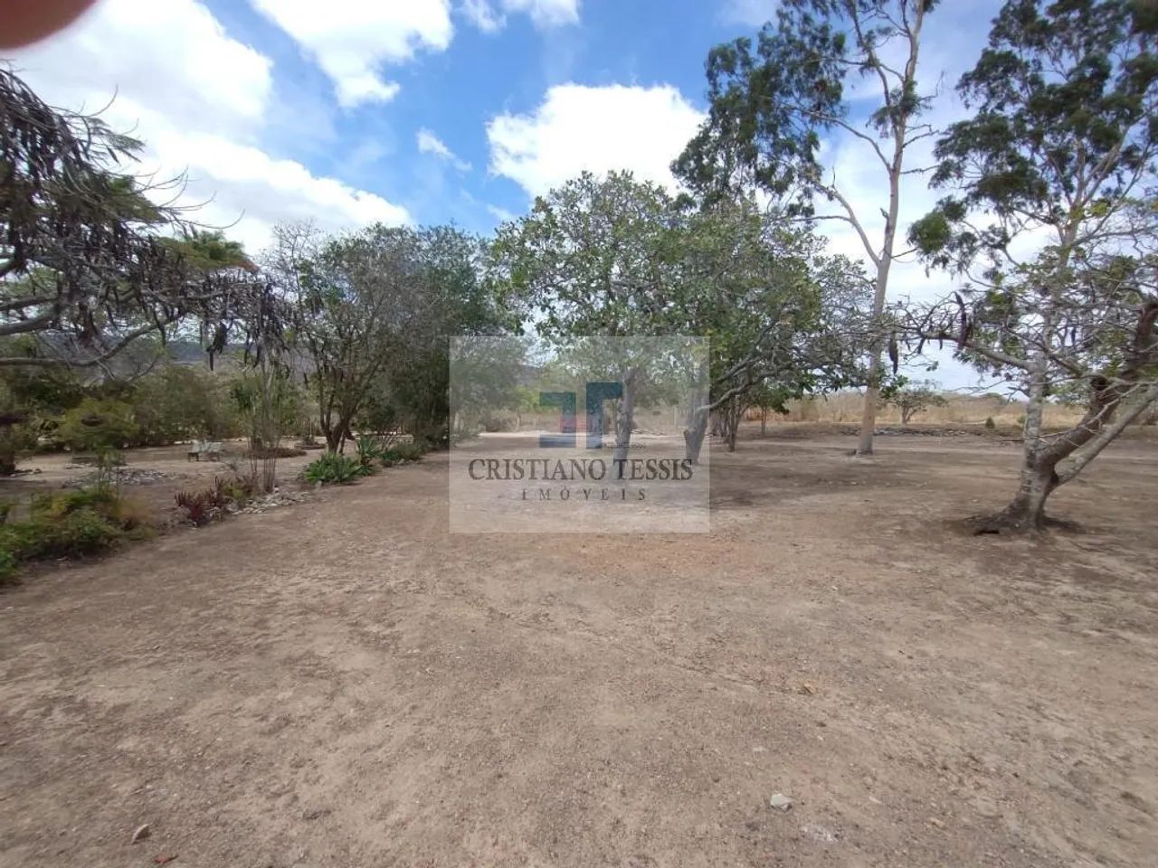 Fazenda Santa Zélia - Foto 2