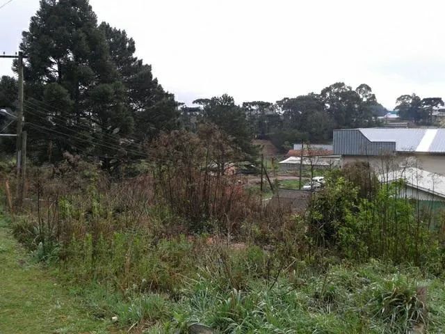 Terreno Comercial - Bairro Centro - Foto 4