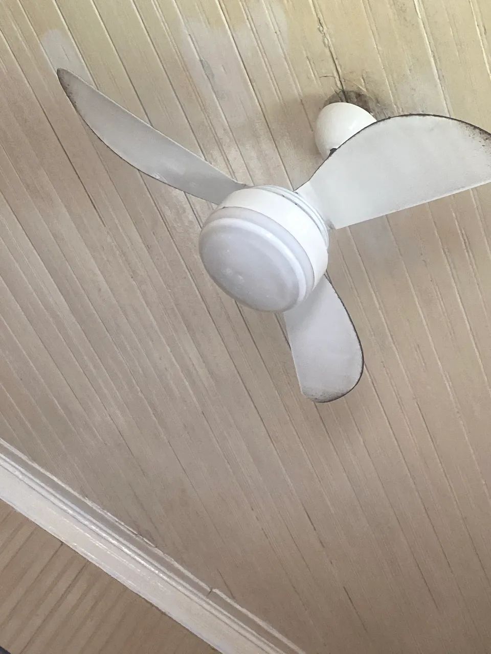 Ventiladores
