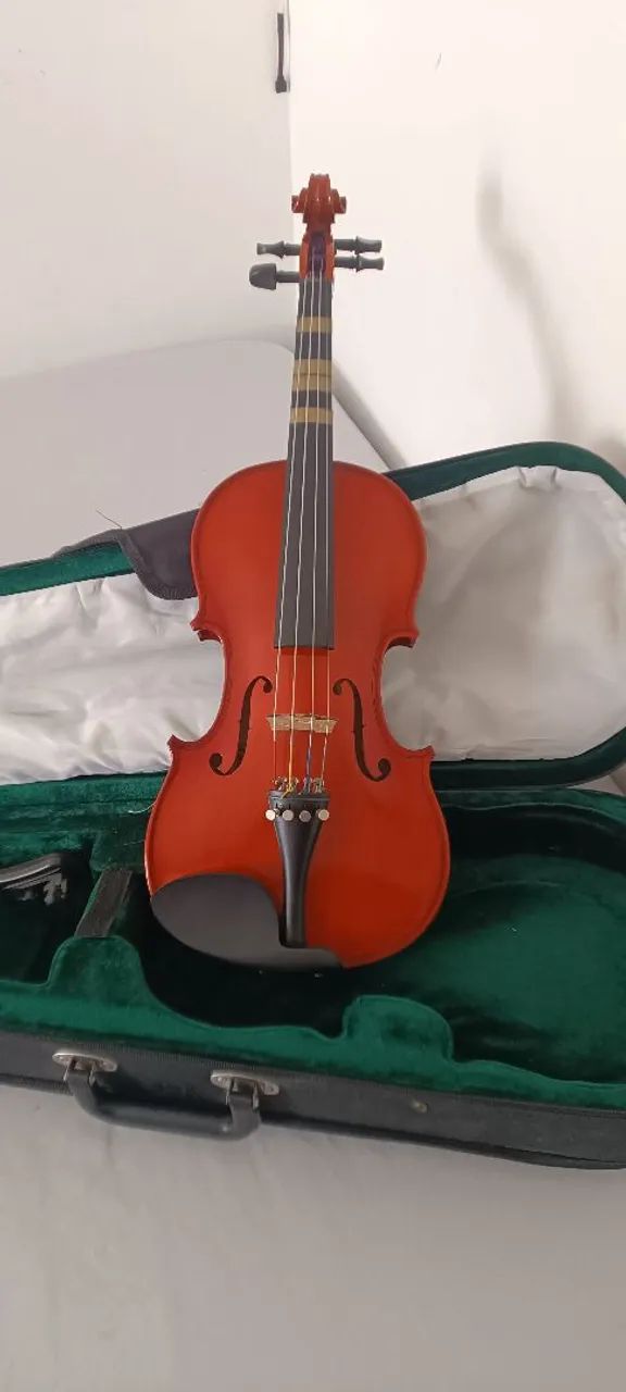 Violino 4x4 - Foto 2
