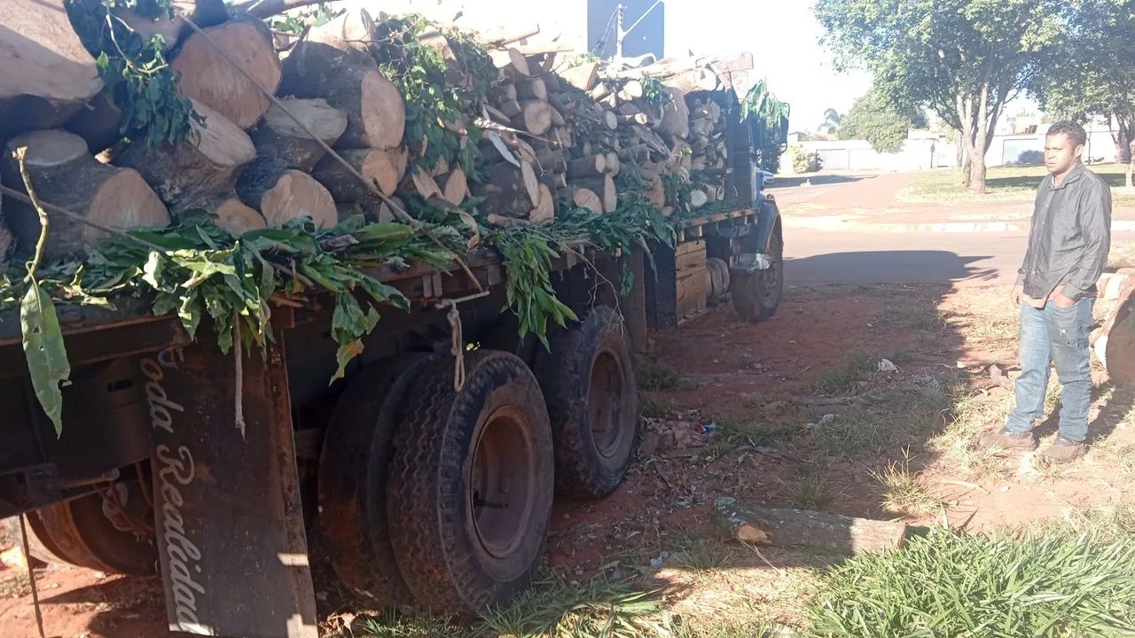 Trabalho com jardinagem gerais - Foto 5