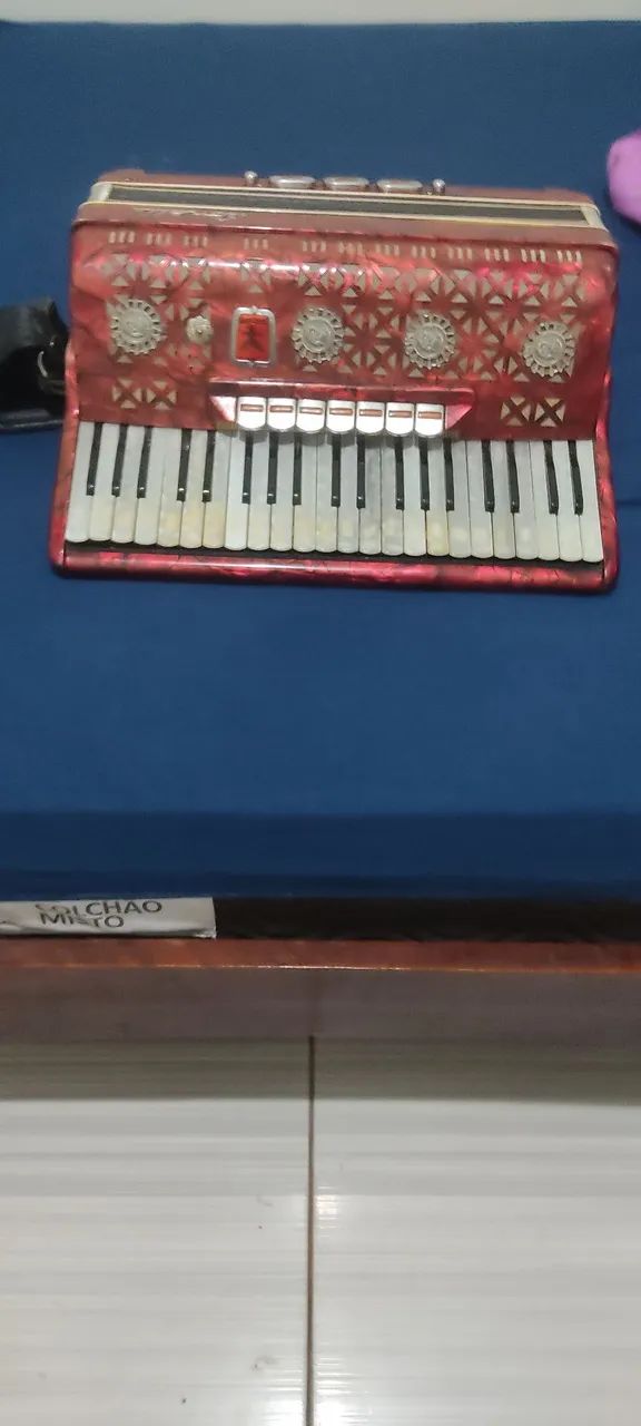 Acordeon sonelli 120 - Foto 5