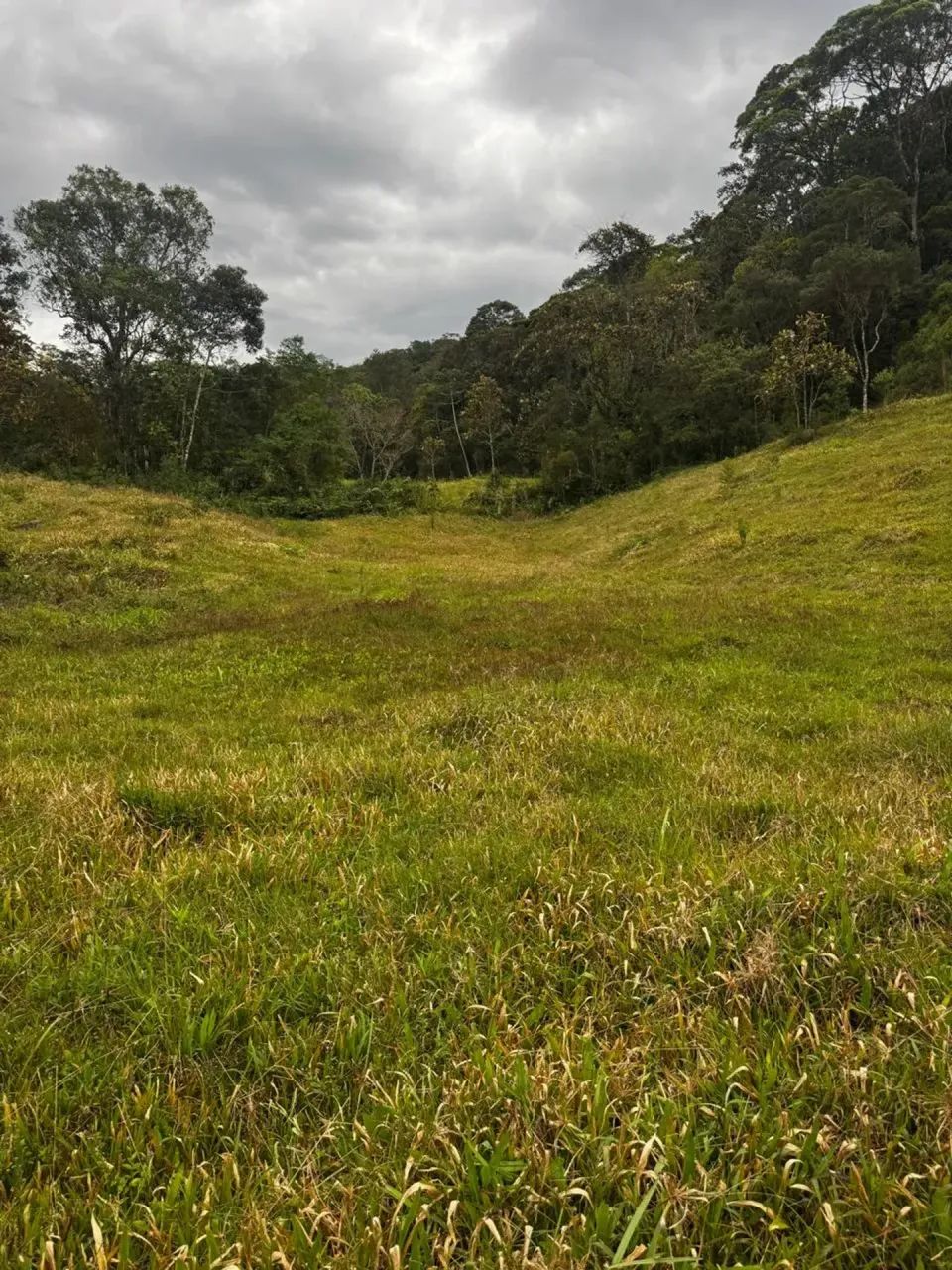 Sitio belo Águas Mornas - SC - Foto 5