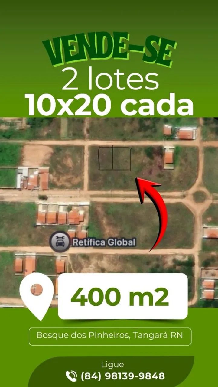 Foto - Tangará - 