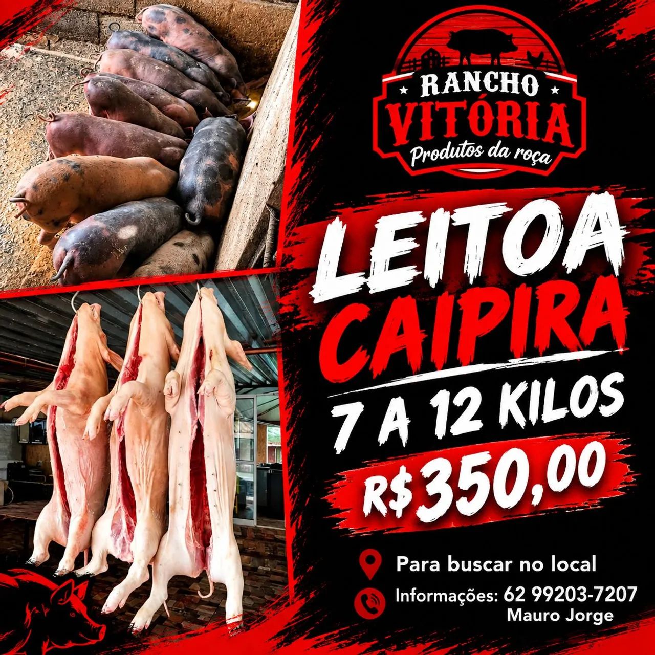 Leitoas Caipiras - Foto 3