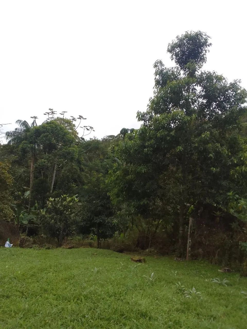 Terreno em Morretes  - Foto 5