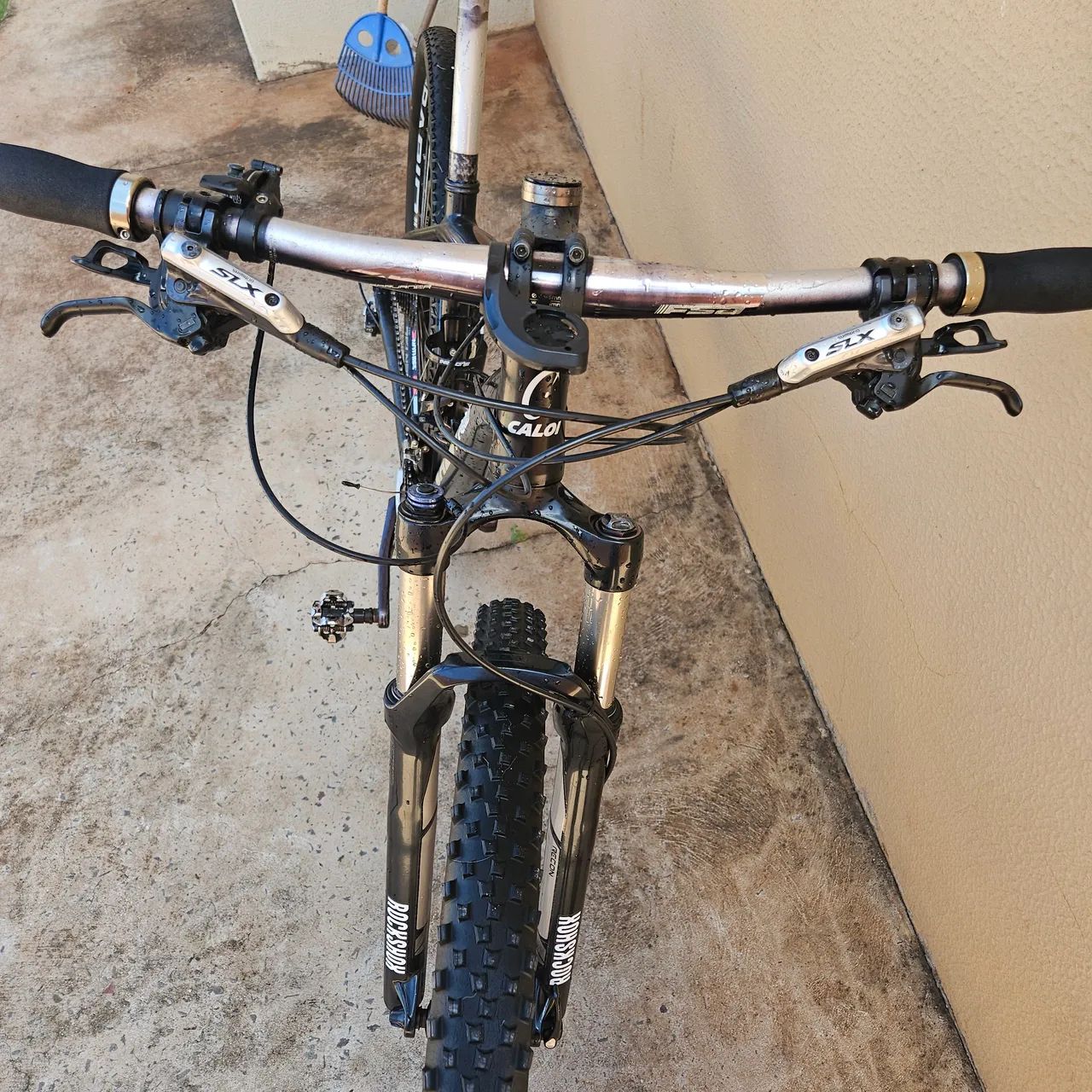 Caloi vitus  - Foto 3