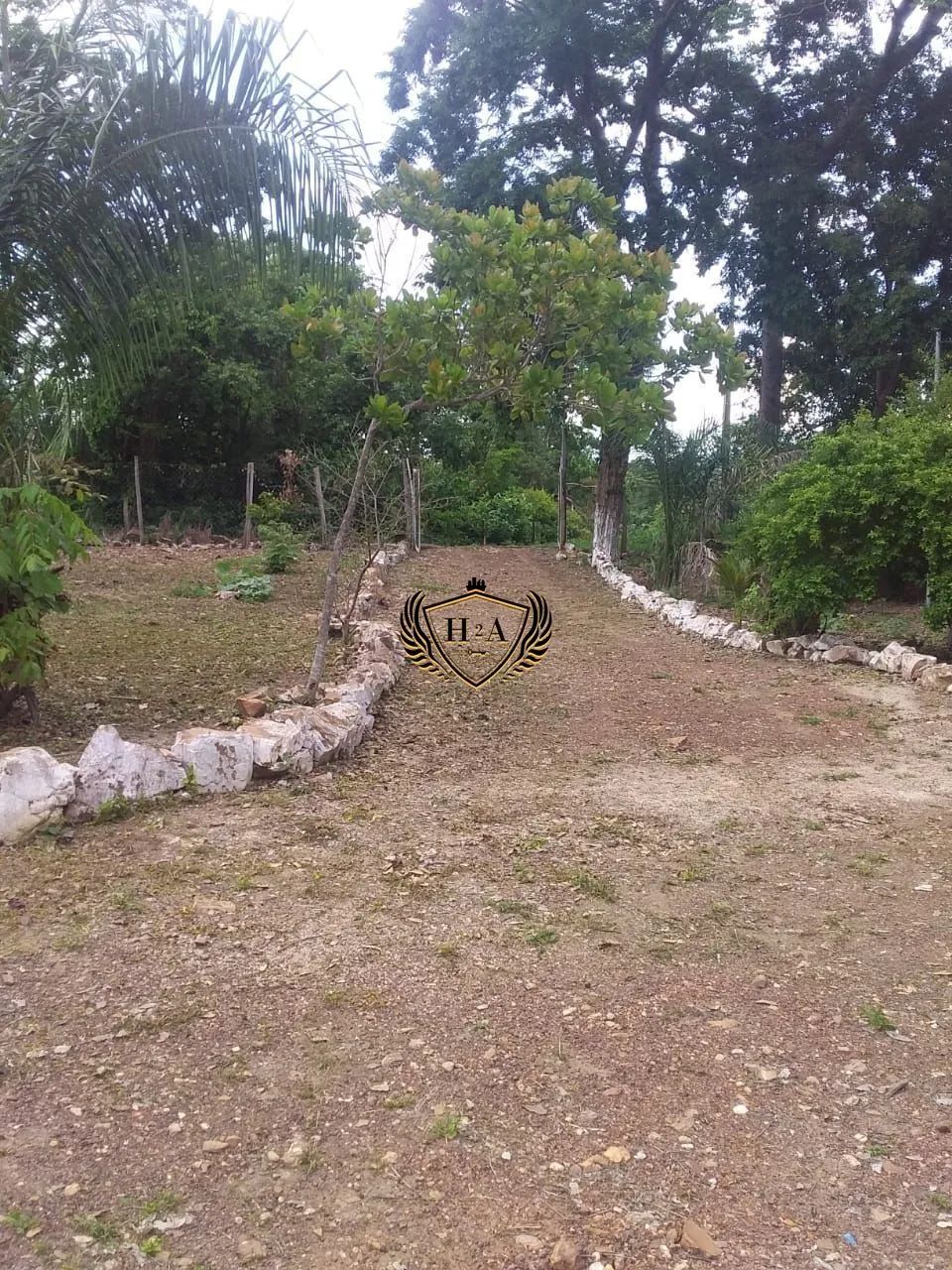 Sitio com a Documentação Toda em Dia em Barão de Melgaço! - Foto 3