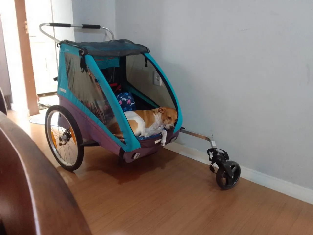 Carrinho trule para bicicleta  - Foto 2