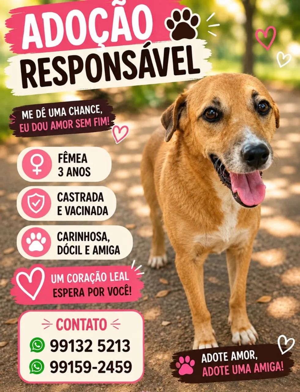 Adoção responsável 