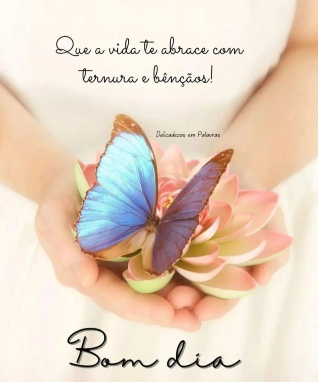Frete pequeno 
