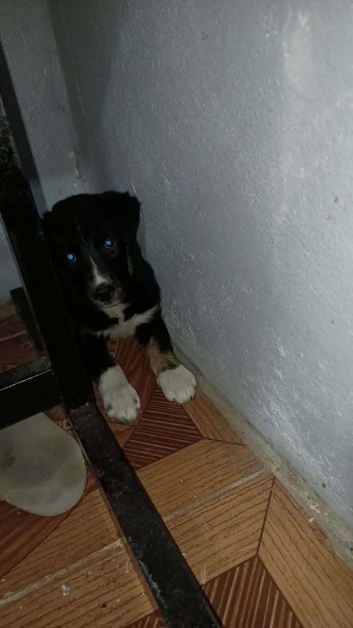 Doação 