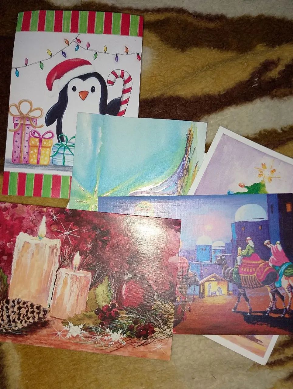 Animais  - Foto 3