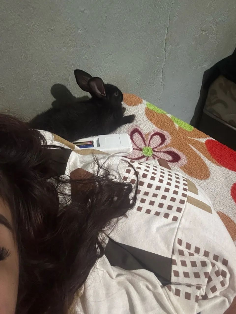 Vende-se coelho - Foto 5