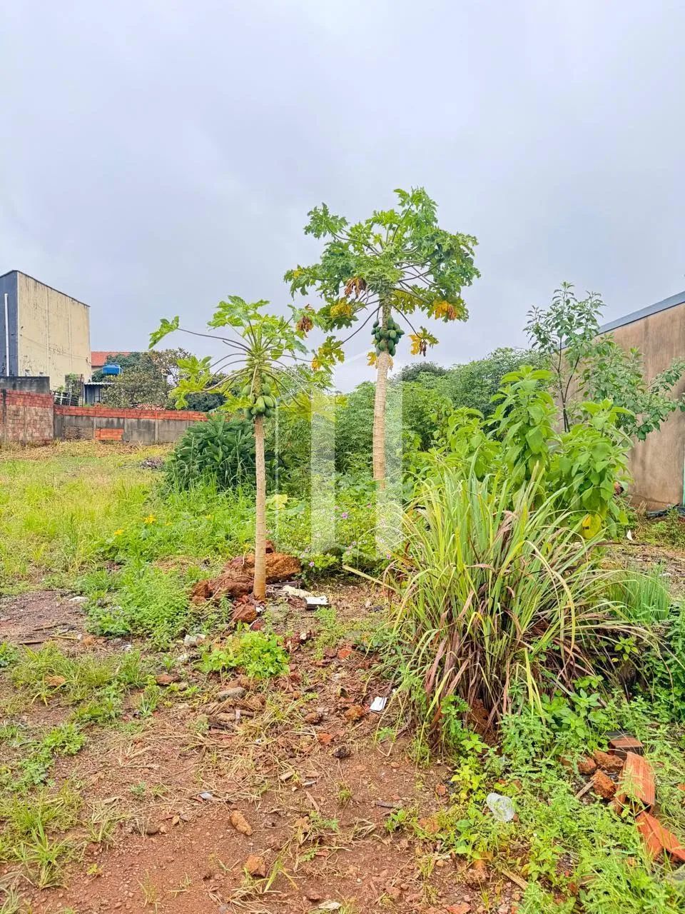 Lote com 300M² - Setor Garavelo - Foto 2