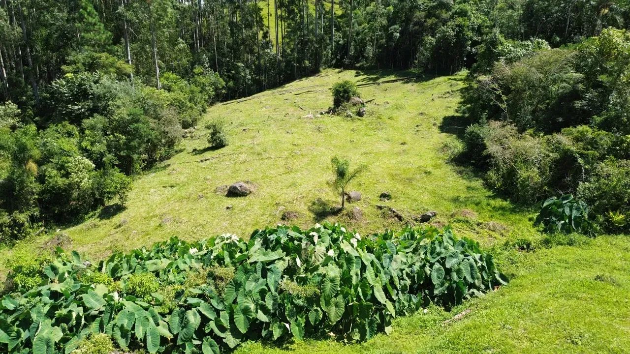 Sitio com cachoeira, pastagem e mata em Anitápolis - SC - Foto 4